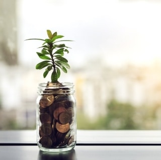 Plant growing out of a jar of coins